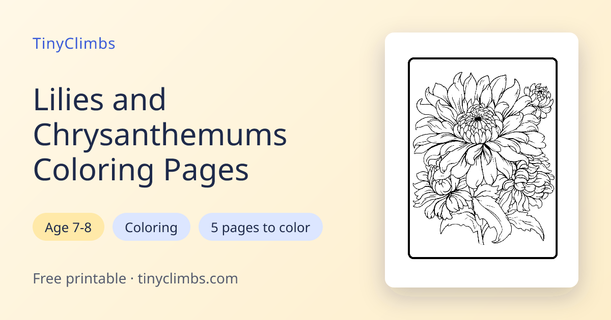Lily and Chrysanthemum Coloring — Free Printable | TinyClimbs