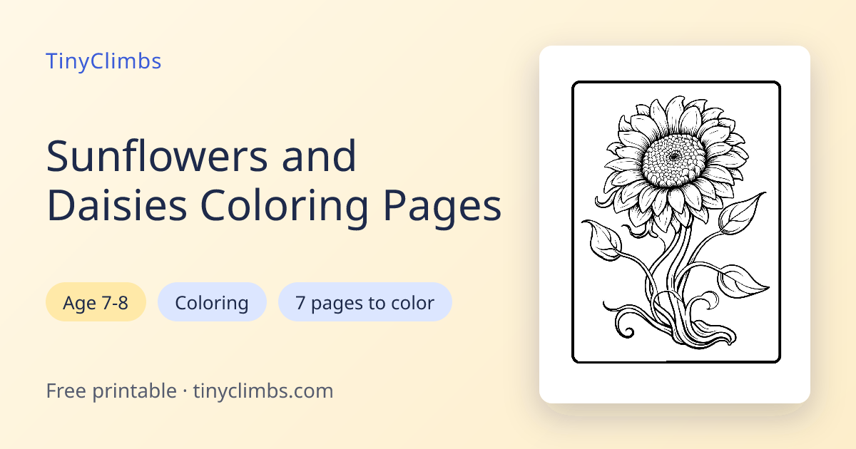Sunflower and Daisy Coloring — Free Printable | TinyClimbs
